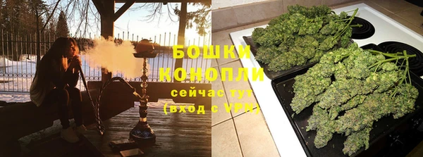 гашик Балахна